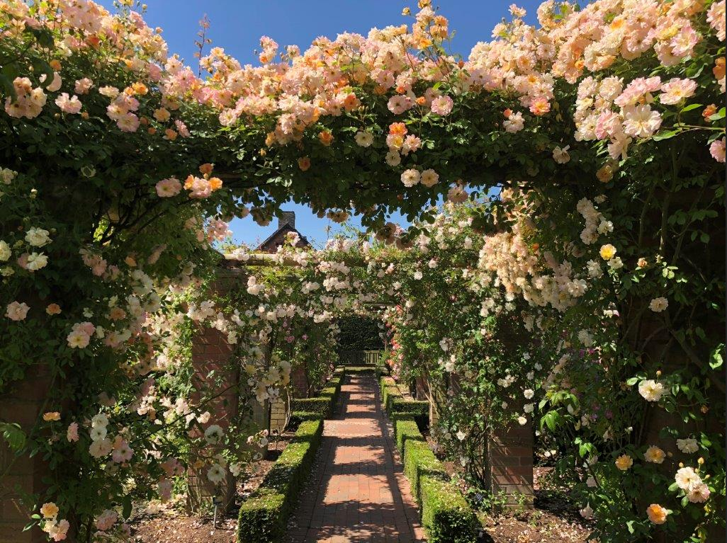 10 garden Design Trends in 2024