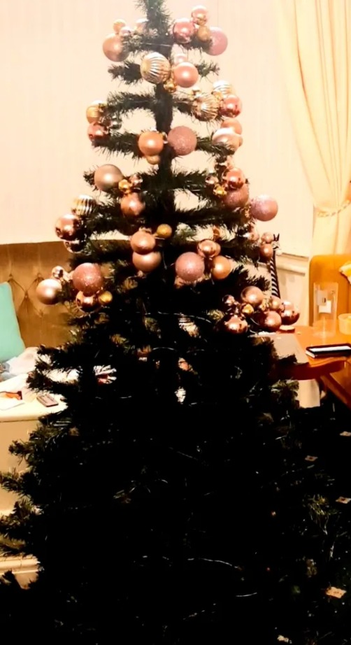 Fun Christmas Decorations for  2026