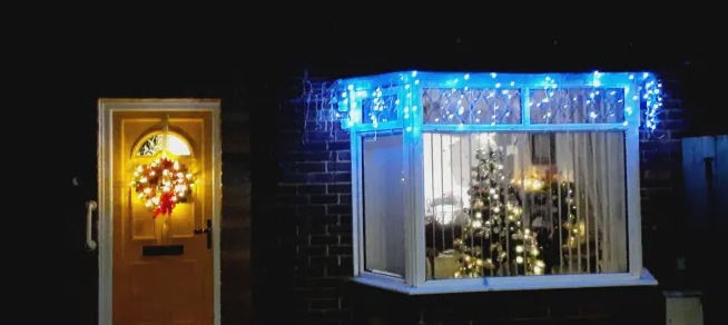 Fun Christmas Decorations for  2026