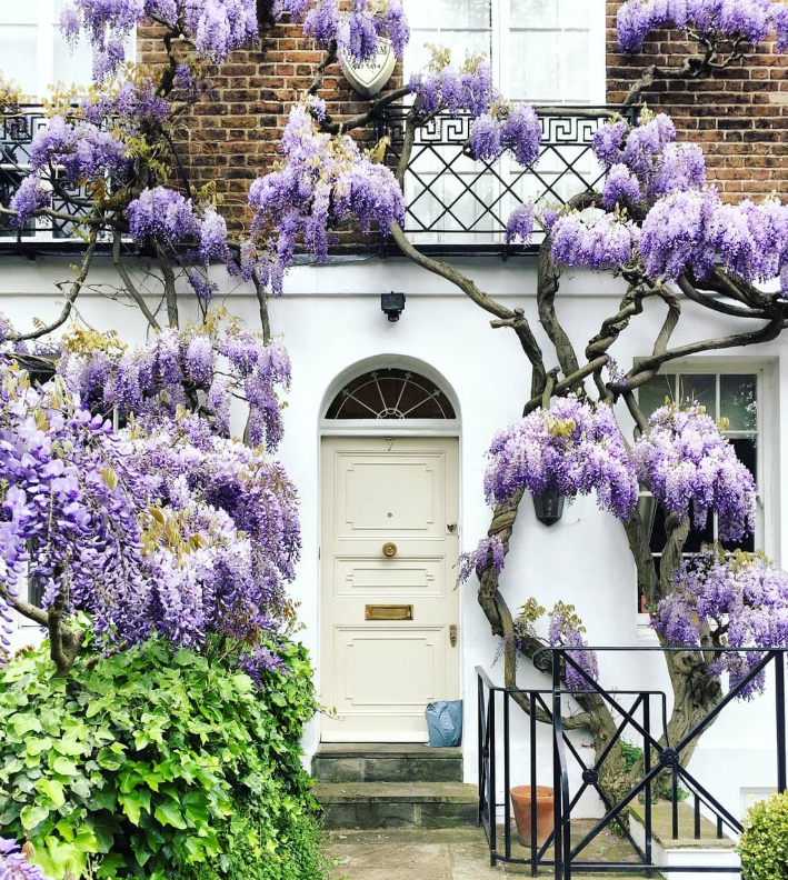 London Doors that Stopped me in My Tracks