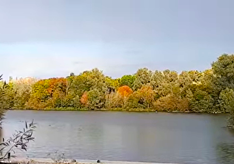 Nene Park, Ferry Meadows Hike- Jijjy's Maison Blog
