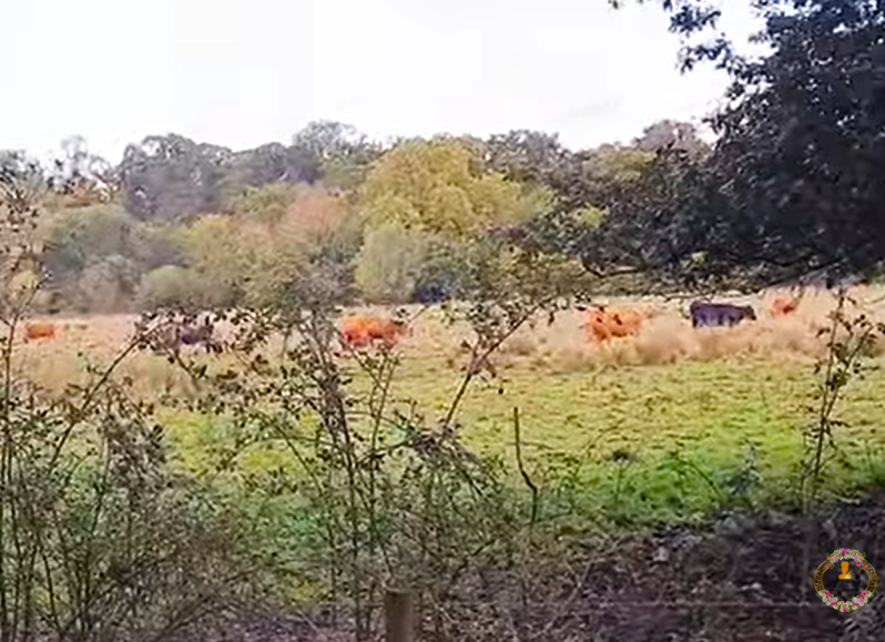 Nene Park, Ferry Meadows Hike- Jijjy's Maison Blog