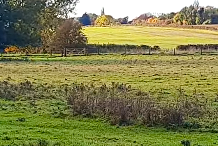 Nene Park, Ferry Meadows Hike- Jijjy's Maison Blog