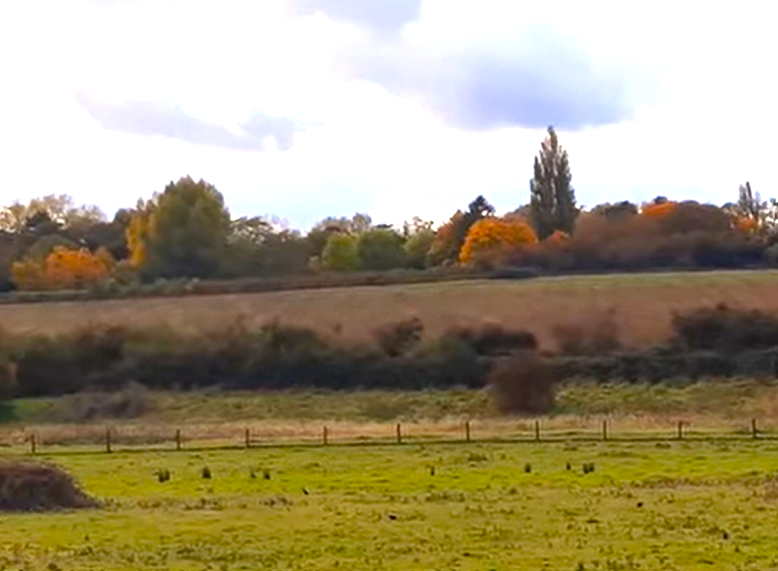 Nene Park, Ferry Meadows Hike- Jijjy's Maison Blog