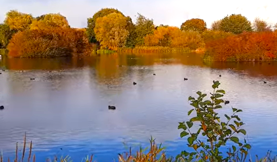 Nene Park, Ferry Meadows Hike- Jijjy's Maison Blog